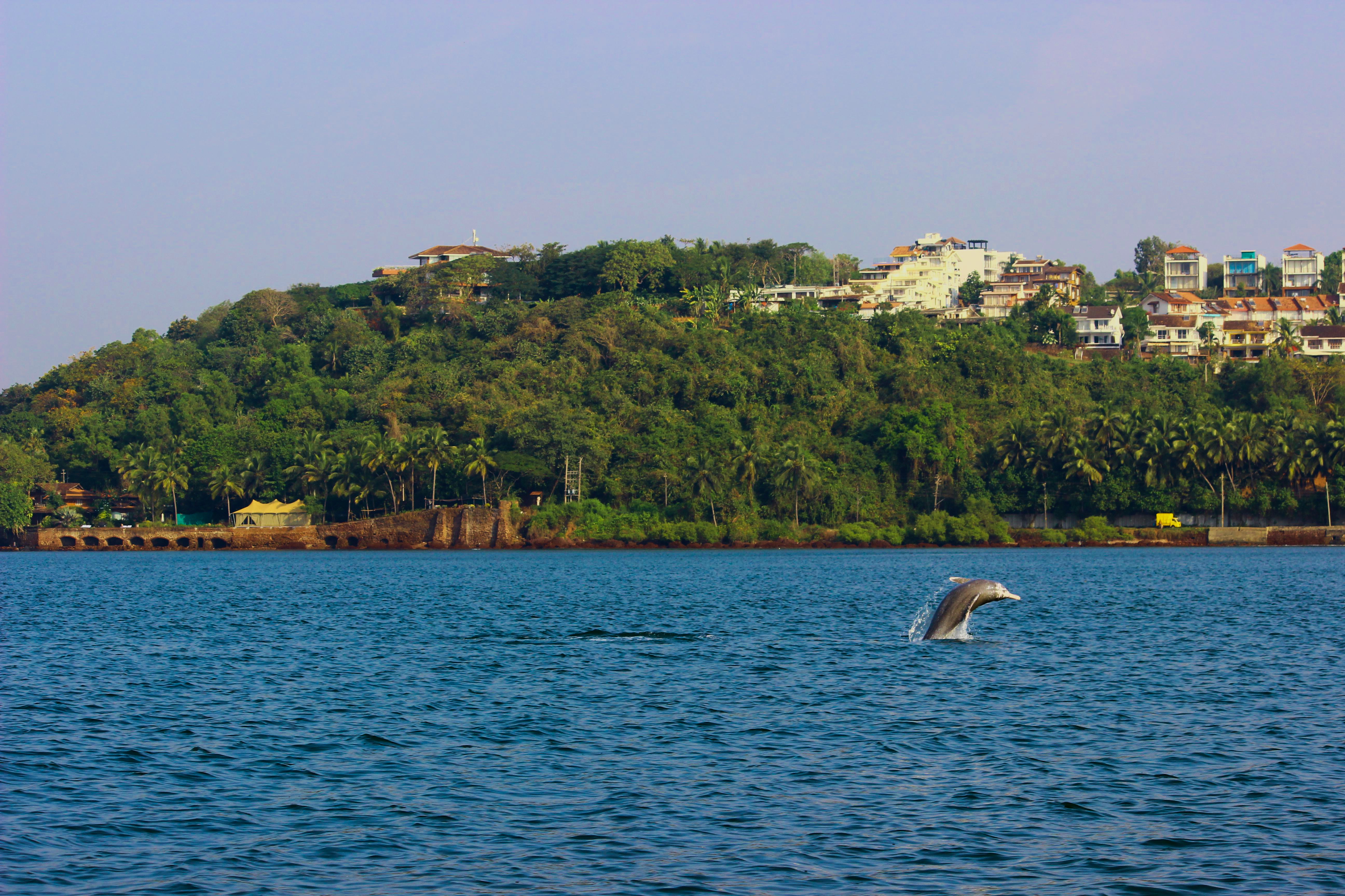 Goa Anglers